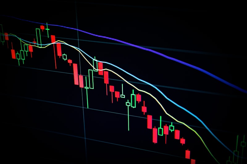 Financial Predation